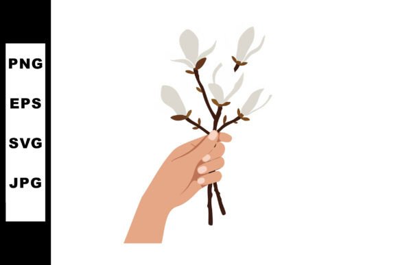 Hand Holding White Magnolia Flowers Graphics