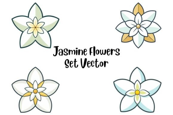 Jasmine Flowers Set Vector