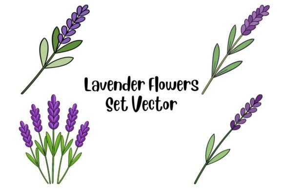 Lavender Flowers Set Vector