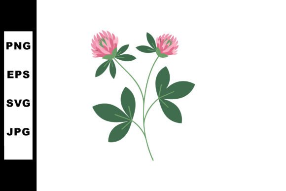 Pink Clover Flowers Graphics for Branding
