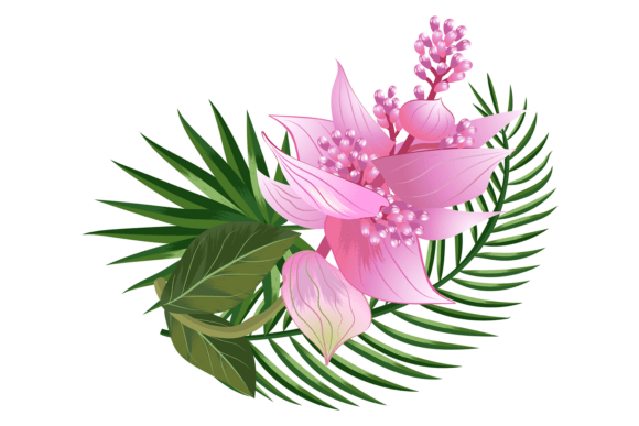 Summer Blossom Graphics for Editorial and Web Design