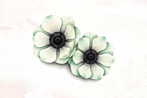 Two Delicate White Anemone Flowers Graphics