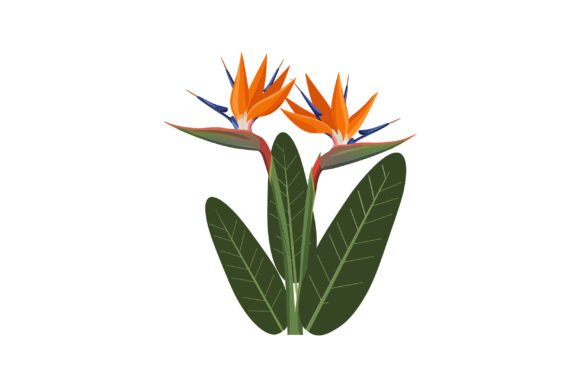 Vibrant Bird of Paradise Flowers in Flat Graphics