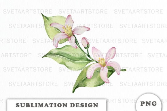 Watercolor Lemons Flowers Composition for Branding and Design